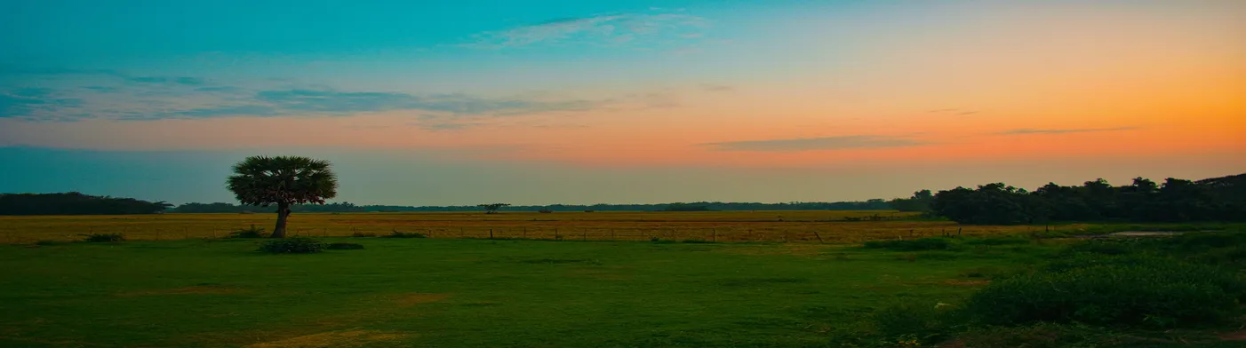 법무법인 서앤율